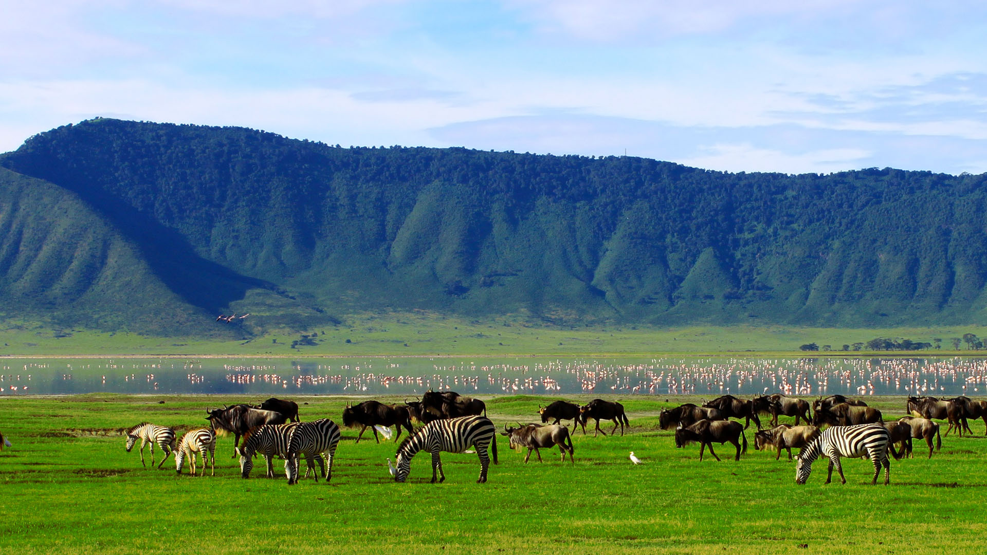 Ngorongoro Crater Wildsafari Africa